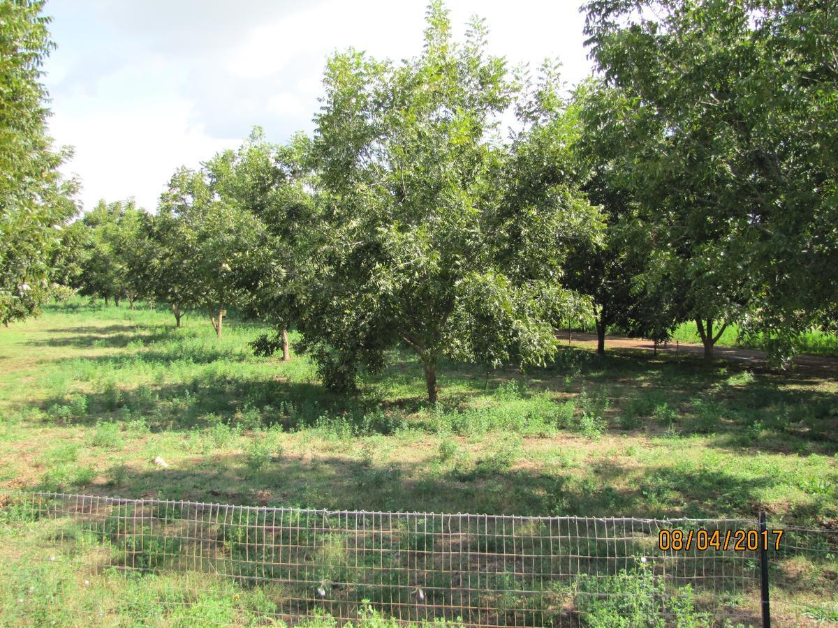Millstream Inn Guest House Skeerpoort Εξωτερικό φωτογραφία