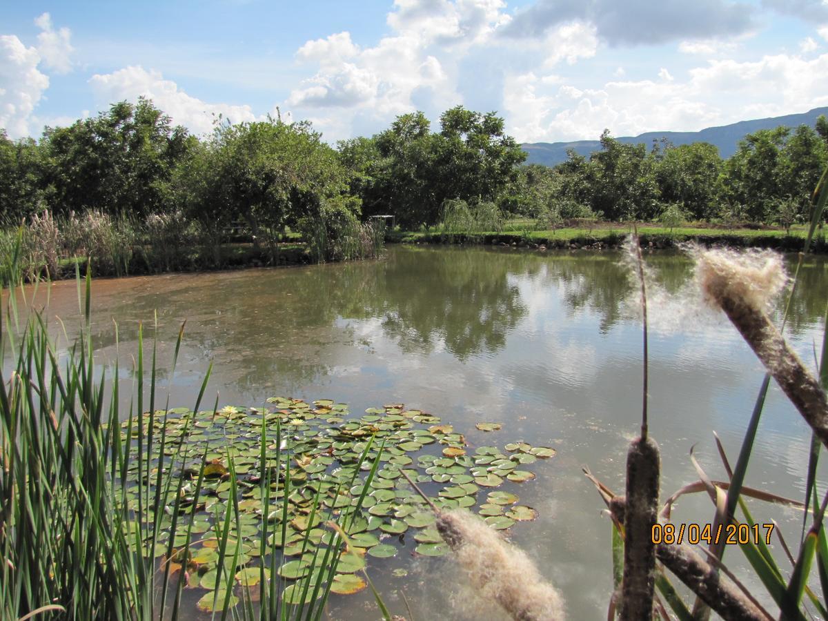 Millstream Inn Guest House Skeerpoort Εξωτερικό φωτογραφία
